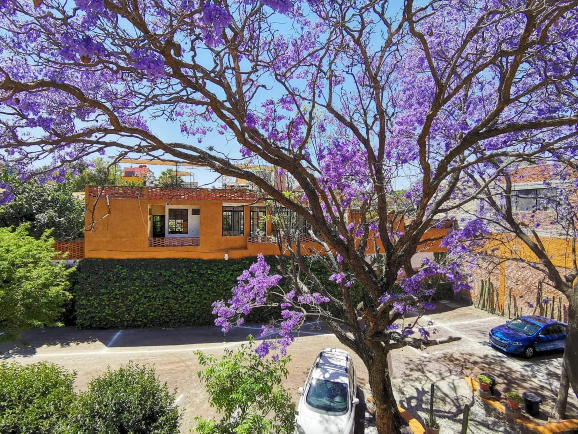 Hotel Hacienda Monteverde San Miguel De Allende Kültér fotó